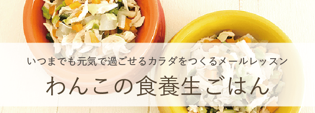 わんこの食養生ごはん
