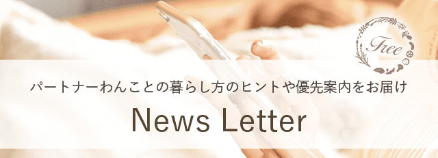 News Letter