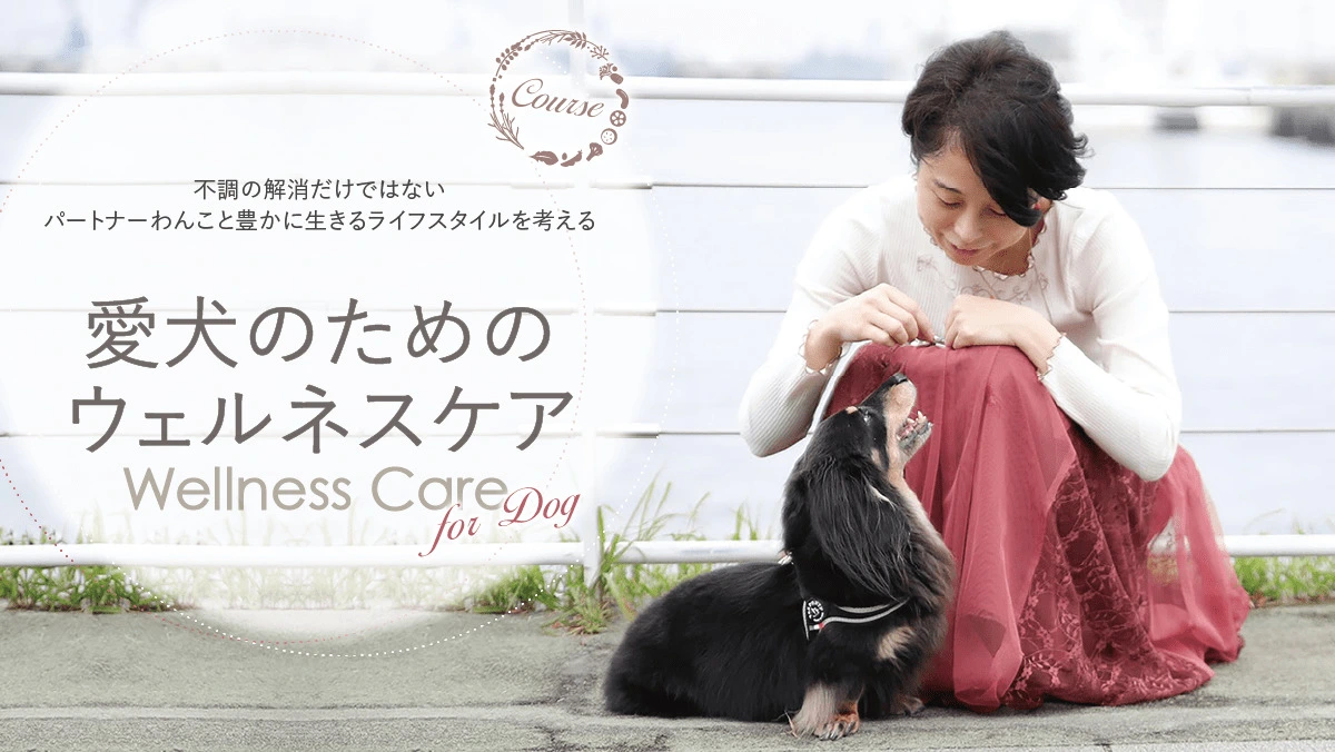 愛犬のためのウェルネスケア