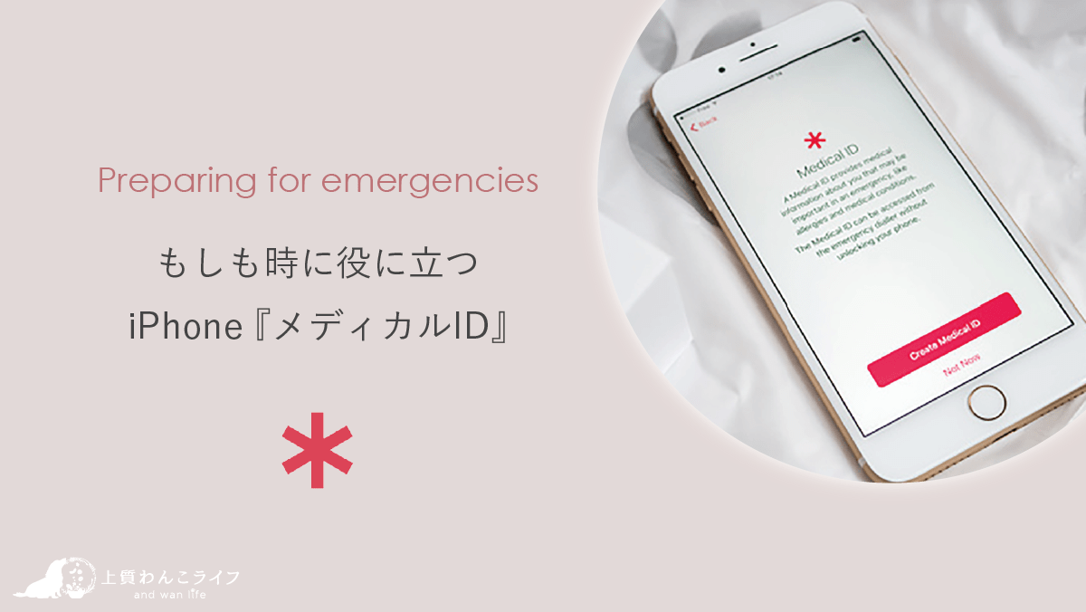 もしもの時に役に立つ、iPhoneメディカルID