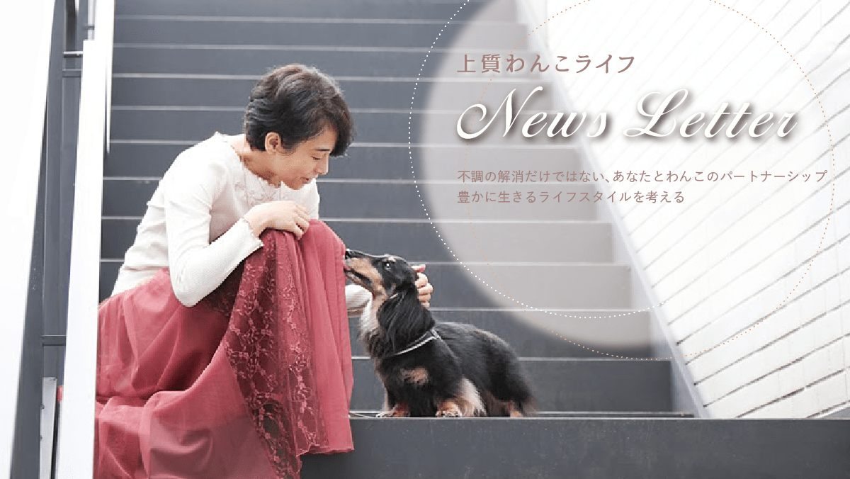 上質わんこライフNews Letter
