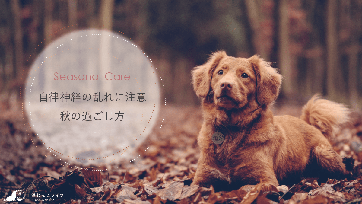 seasonal care：自律神経の乱れに注意。秋の過ごし方